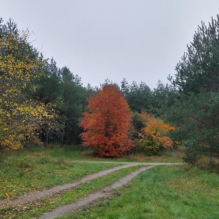 Agroturystyka Lesna Babka Jastrowie Exterior foto