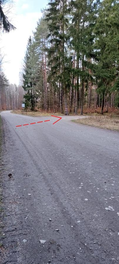 Agroturystyka Lesna Babka Jastrowie Exterior foto